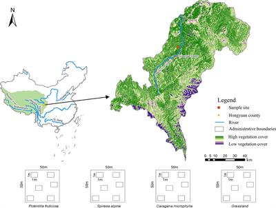 Effect of Shrub Encroachment on Alpine Grass Soil Microbial Community Assembly